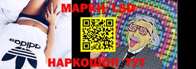 Альфа ПВП Донецк