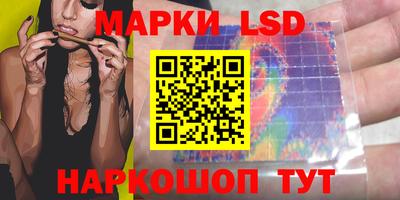 Альфа ПВП Донецк