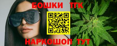 стаф Дубна