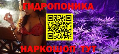 ECSTASY Гусев
