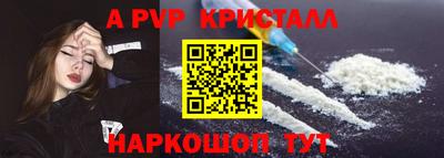 стаф Дубна
