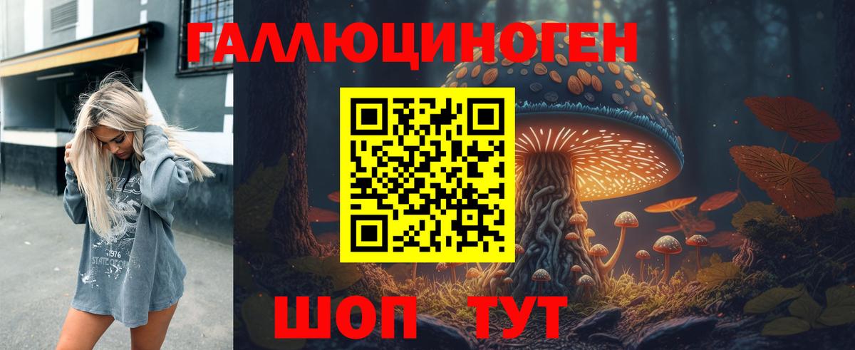 Новоалександровск  купить наркотик  Вход с VPN  Псилоцибиновые грибы GOLDEN TEACHER  Псилоцибиновые грибы GOLDEN TEACHER 